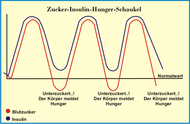Zucker-Insulin-Hunger-Schaukel